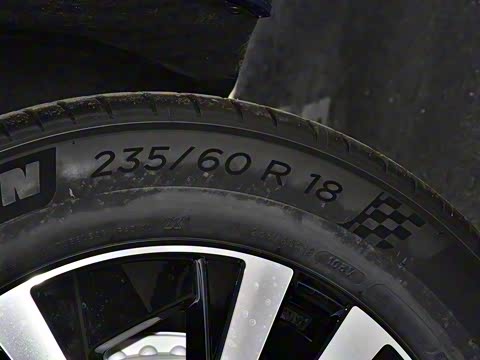 2021�� T5 ���������˶���