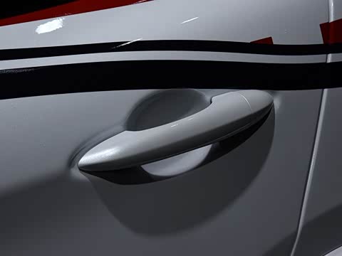 2019�� 2.9T 510HP F1������