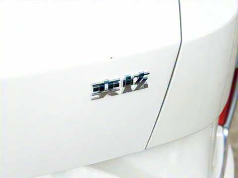 2020�� 230T �Զ��ſ�������