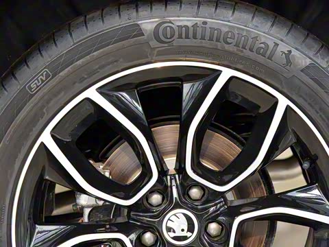 2019�� TSI330 ���������� ��VI