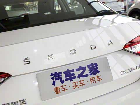 2020�� 1.5L �ֶ���׼��