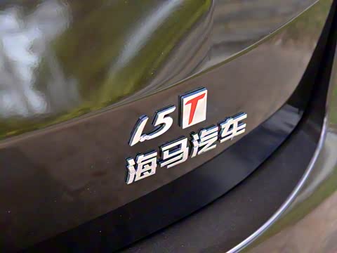 2017�� ������ 1.5T �ֶ��ʡ�����