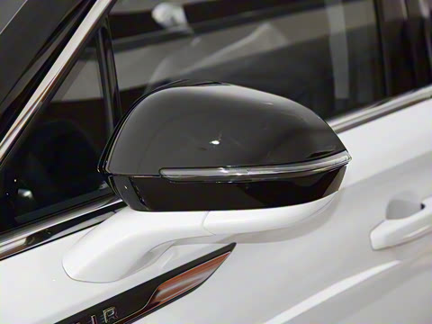 2021�� 2.0T ����������