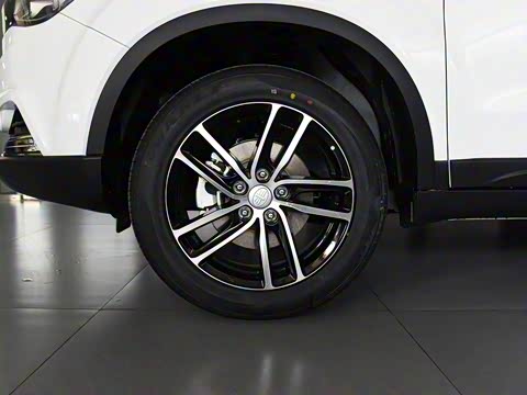 2017�� 1.6L �ֶ������ǿ���