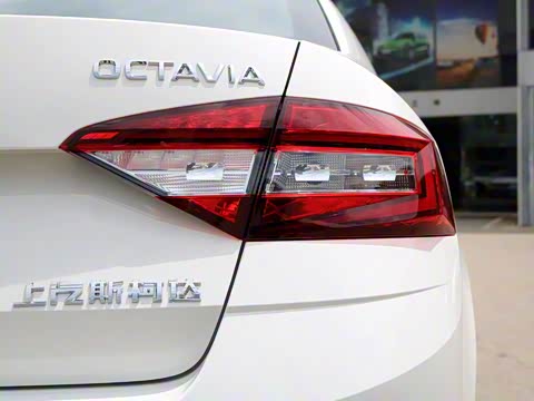 2018�� TSI230 DSG������