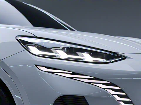 2023�� ����������Max��