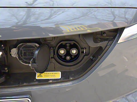 2021�� DLX�����