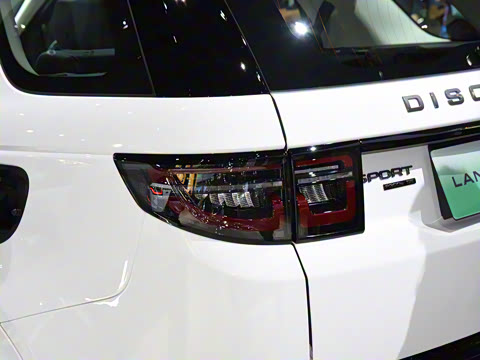 2021�� P300e ���ܿƼ���