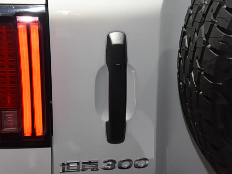 2021�� ԽҰ�� 2.0T ������