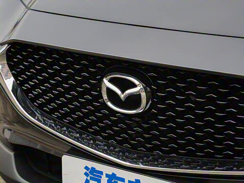 2021��  2.0L �Զ�������