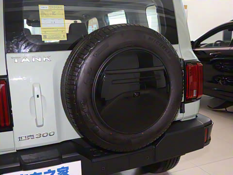 2021�� ���а� 2.0T ������