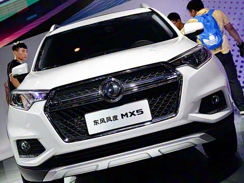 2016�� 2.0L �Զ��콢��