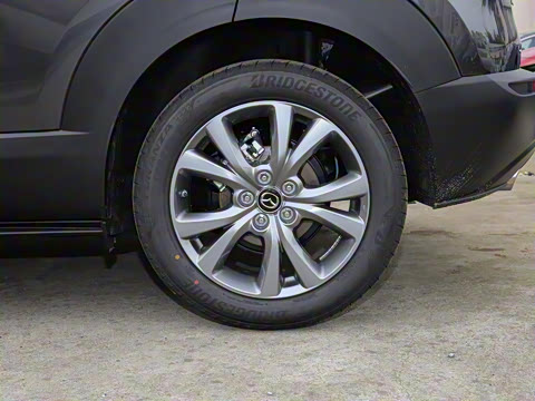 2021��  2.0L �Զ�������