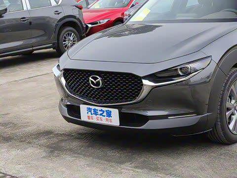 2021��  2.0L �Զ�������