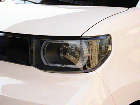 2021�� ������������ �������