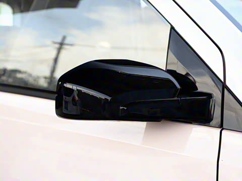 2021�� ������������ �������