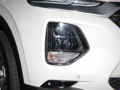 2020�� 380 TGDi �Զ�����DLX HTRAC�����