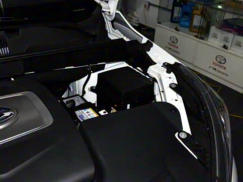 2017�� 310 ������