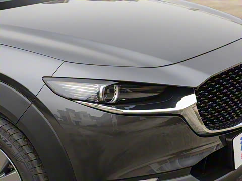 2021��  2.0L �Զ�������