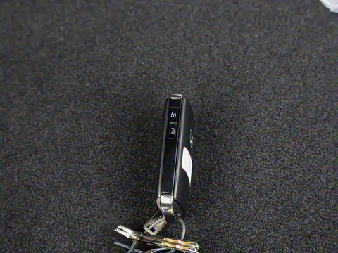 2021��  2.0L �Զ�������