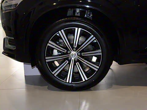 2021�� E���춯 T8 ��������� 7��