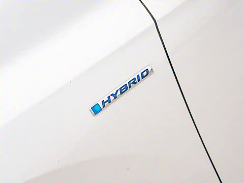 2021�� �񡤻춯 2.0L ����������