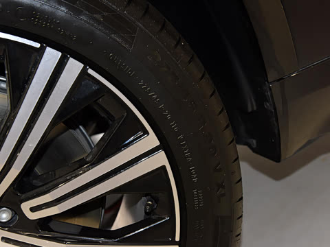 2021�� E���춯 T8 ��������� 7��