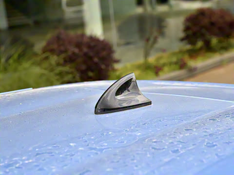 2021�� С�״�������