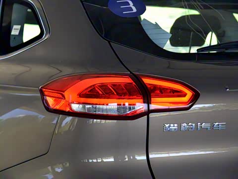 2015�� 2.0T �ֶ�׿Խ��