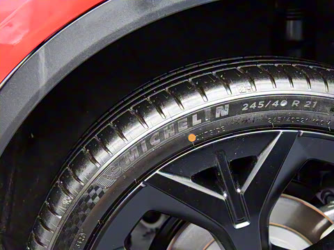 2021�� PLUS �������ư�