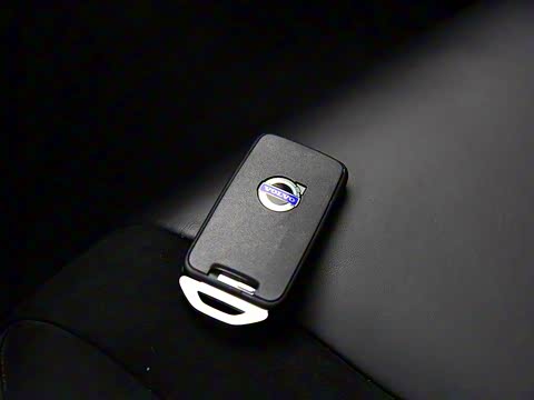 2017�� 2.0T Polestar