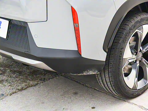 2021�� ������ 80 �����Ƽ���