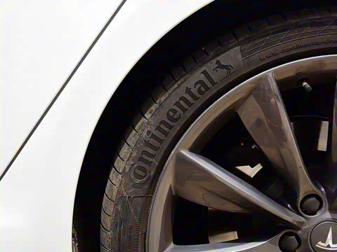 2017�� Model S P100D Performance�����ܰ�