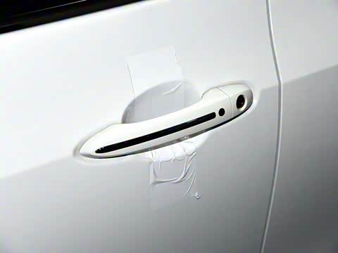 2017�� 310 ������