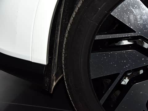 2017�� 310 ������