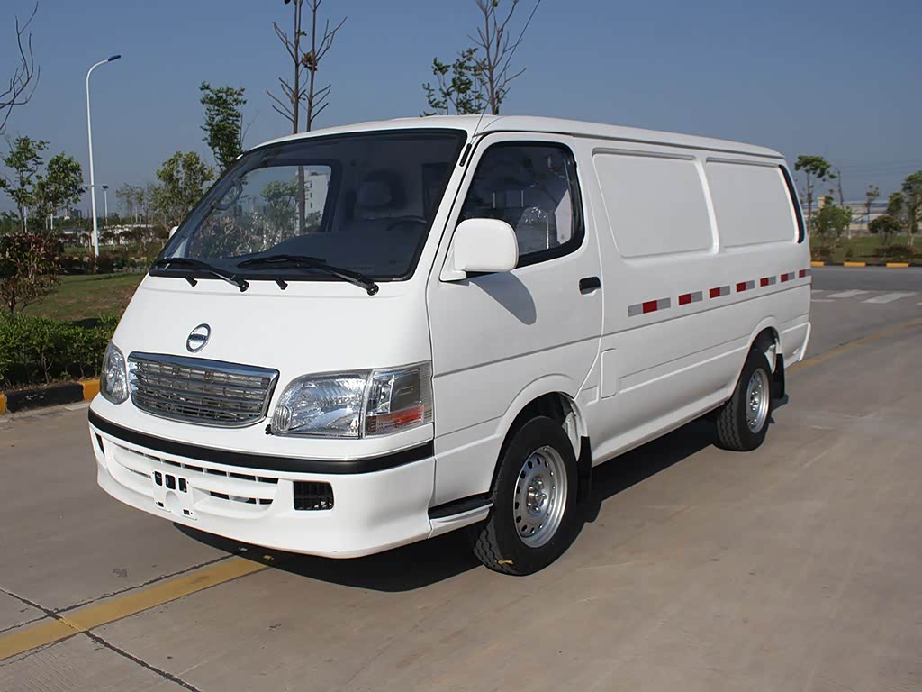 Skywell D09