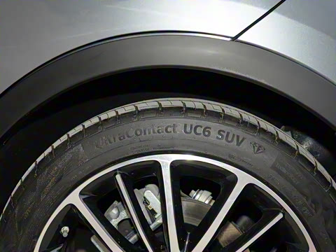 2021�� ������