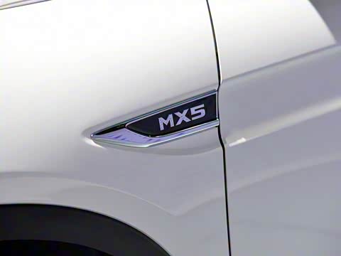 2016�� 2.0L �Զ��콢��