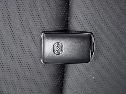 2021�� 2.0L �Զ�������