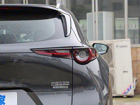 2021��  2.0L �Զ�������