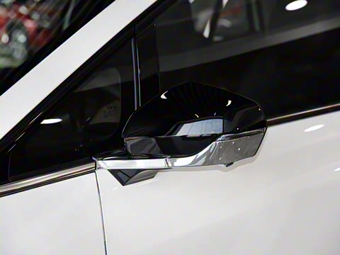 2021�� ������ 80 �����Ƽ���