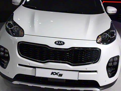 2016�� 1.6T �Զ�����Premium