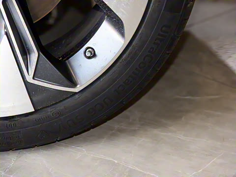 2021�� ������ 80 �����Ƽ���