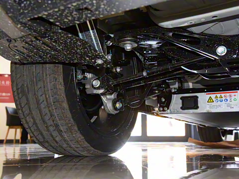 2021�� ������ 80 �����Ƽ���