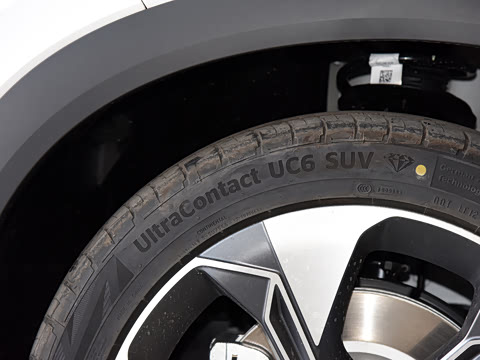 2021�� ������ 80 �����Ƽ���