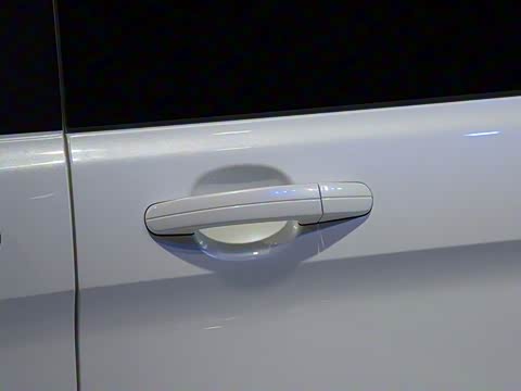 2016�� 2.0T �ֶ����