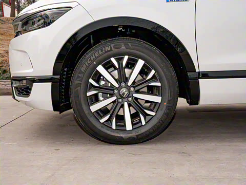 2021�� �񡤻춯 2.0L ����������