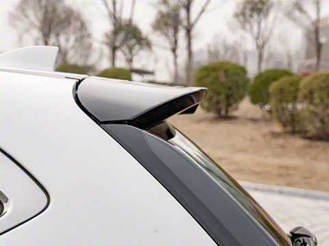 2021�� �񡤻춯 2.0L ����������