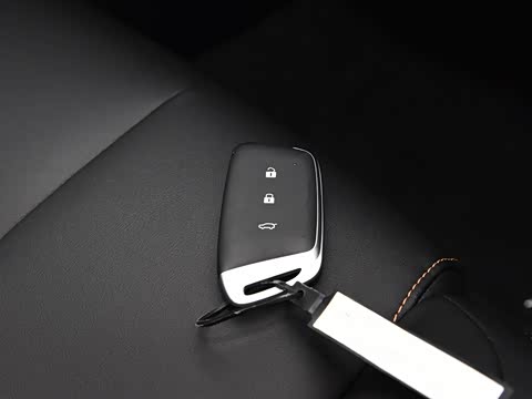 2019�� 1.5T CVT���ܼݿ����� ��VI