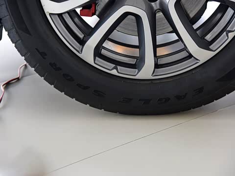 2019�� 3.0T ������ ��VI